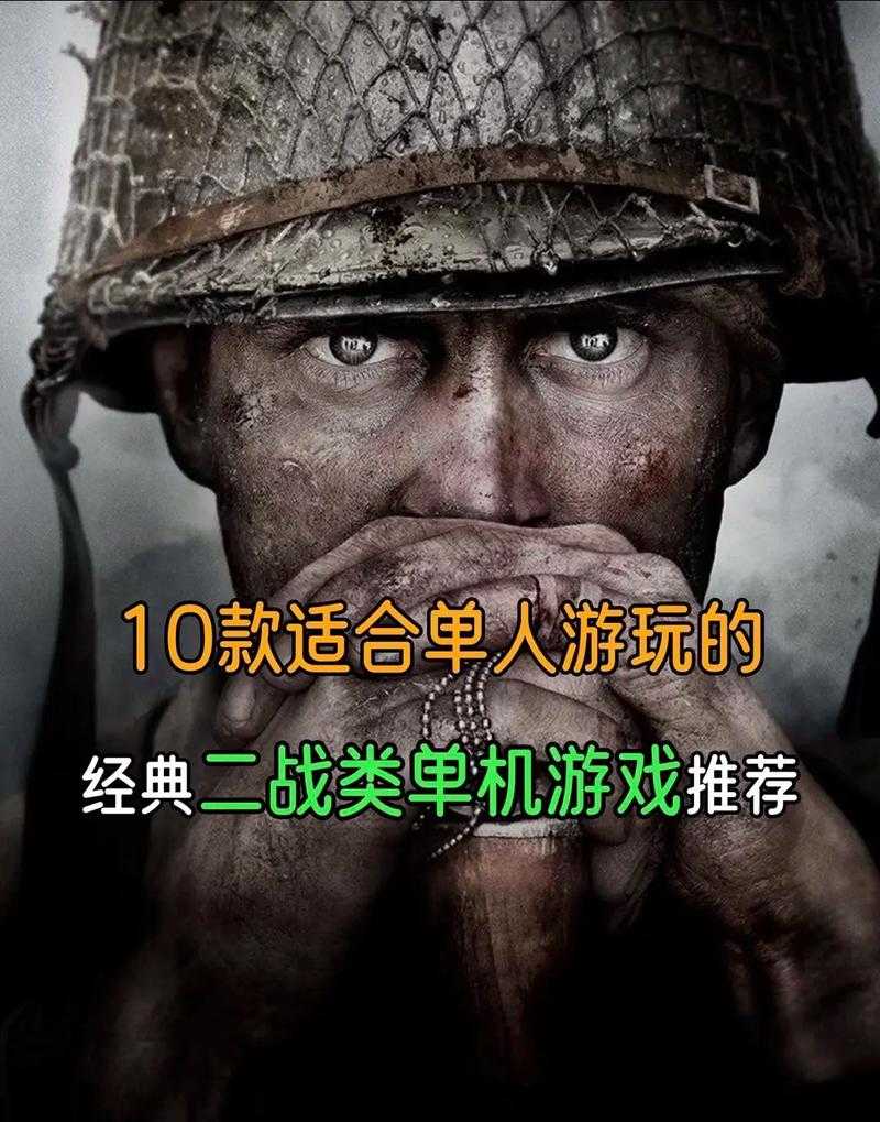《经典二战单机游戏：重温历史战役的震撼体验》