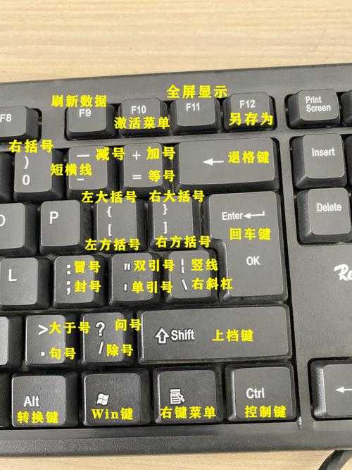 学电脑的基本知识:从零开始掌握打字技巧