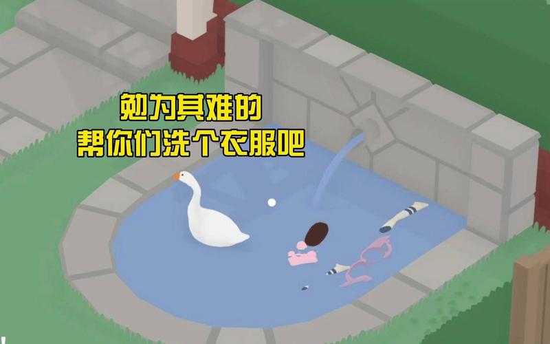 大鹅模拟器怎么洗衣服