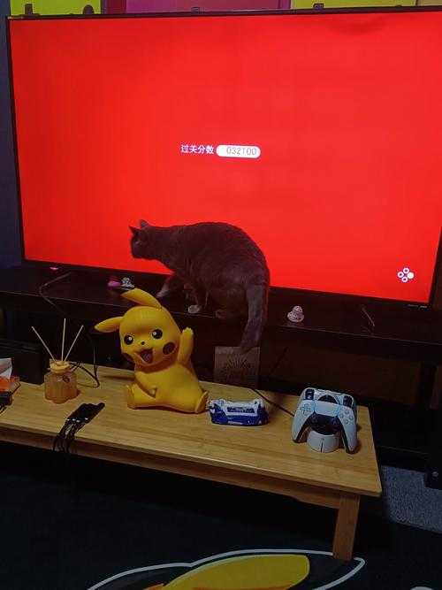 全球直播超萌猫咪打游戏爆红网络,网友疯狂围观