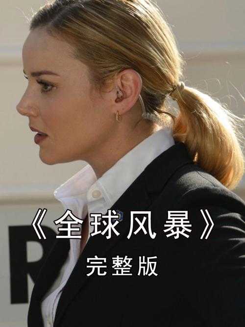 全球风暴高清迅雷下载 FTP资源高速获取