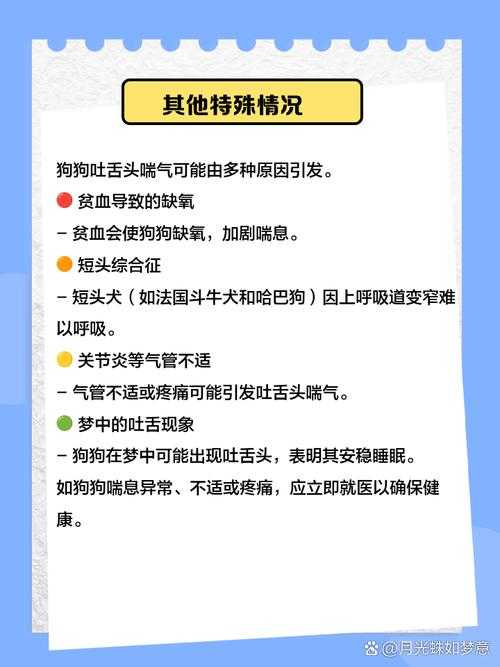 狗狗一边伸舌头一边快速喘气怎么回事？原因与应对方法