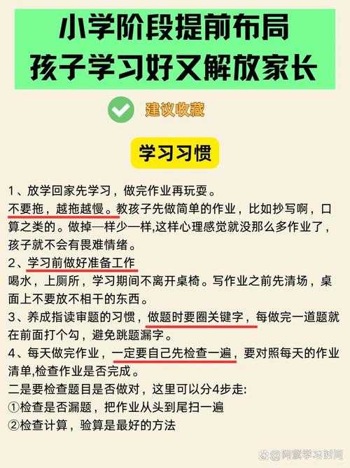 继续教育作业:高效实施一起做作业的完整过程指南