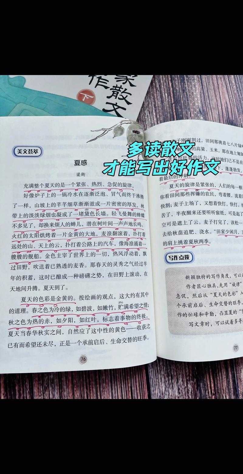 《一点文学:探索文字之美,品味阅读之趣》