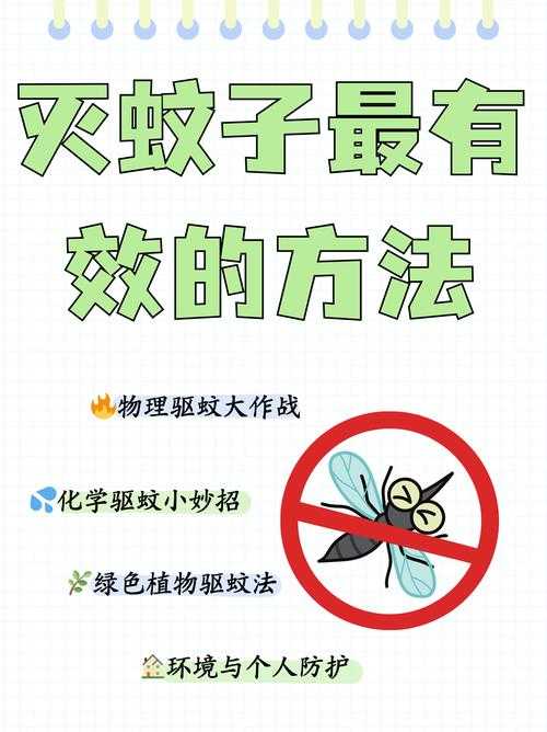 烧脑大师153怎么又有蚊子