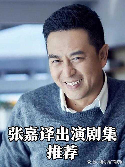 张嘉译最好看的三部电视剧推荐:《白鹿原》《蜗居》《悬崖》必看经典