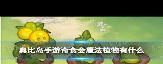 奥比岛魔法植物在哪买