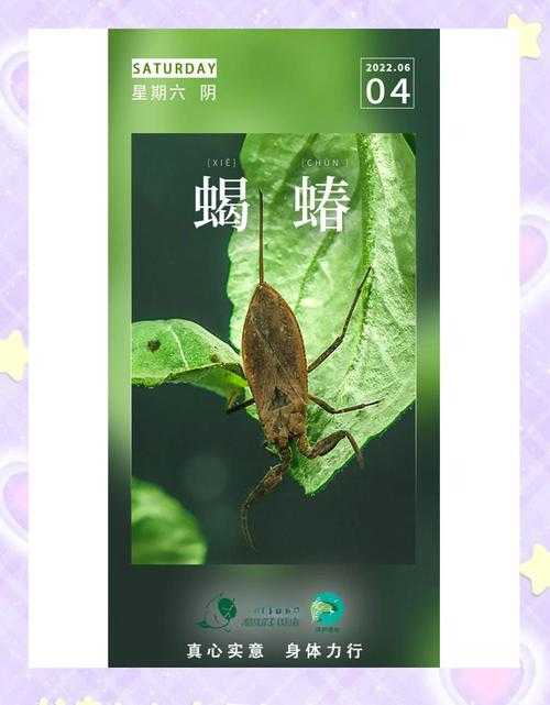 湿地水质监测昆虫:哪些昆虫能有效指示水质健康状况?
