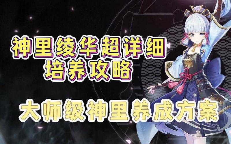 顺圆传奇霸业2025角色培养与技能搭配全攻略