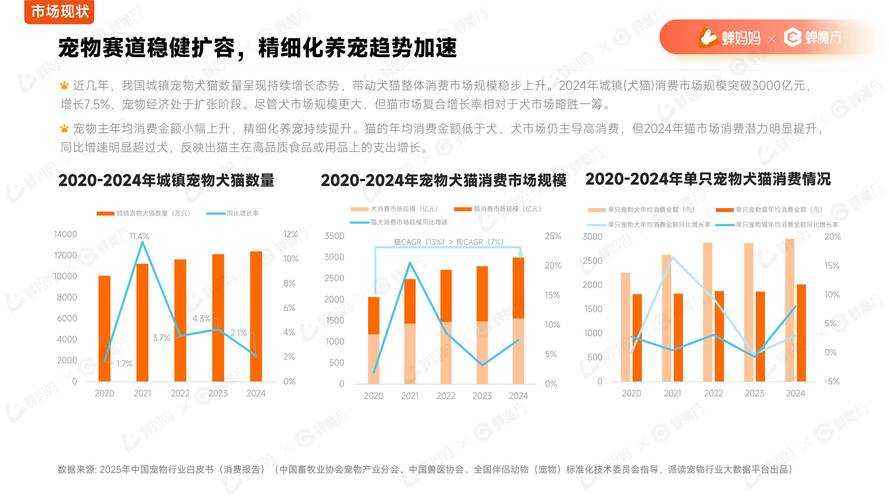 《最佳球会》2025年5月运营报告深度分析及策略建议