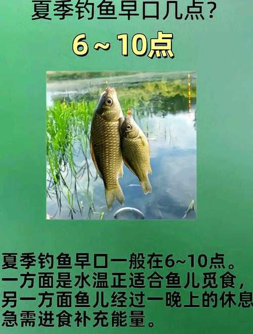 钓鱼时间指南:什么时候钓鱼最容易上钩