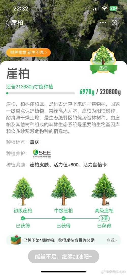 2019年9月蚂蚁森林联合国10个环保秘密你都知道吗?