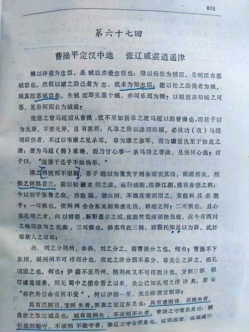 三国之我是汉中王txt下载_三国之我是汉中王小说全集免费阅读