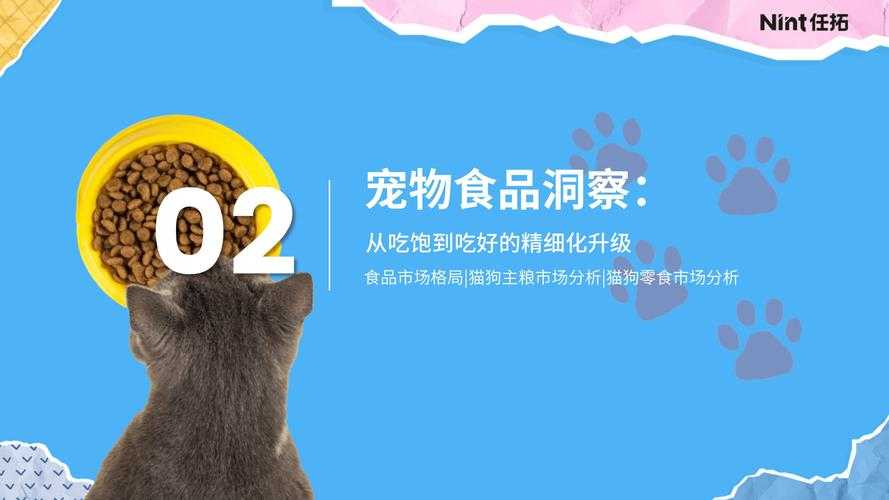 2025宠物对战页游高效升级策略