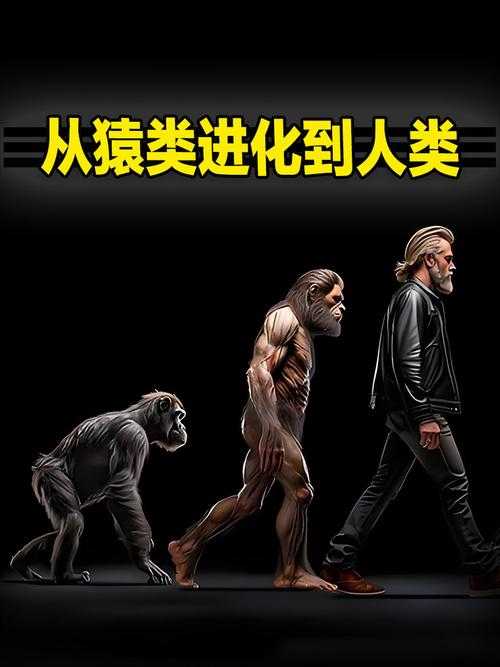 人类进化史百科:从猿到人的完整历程与关键阶段解析