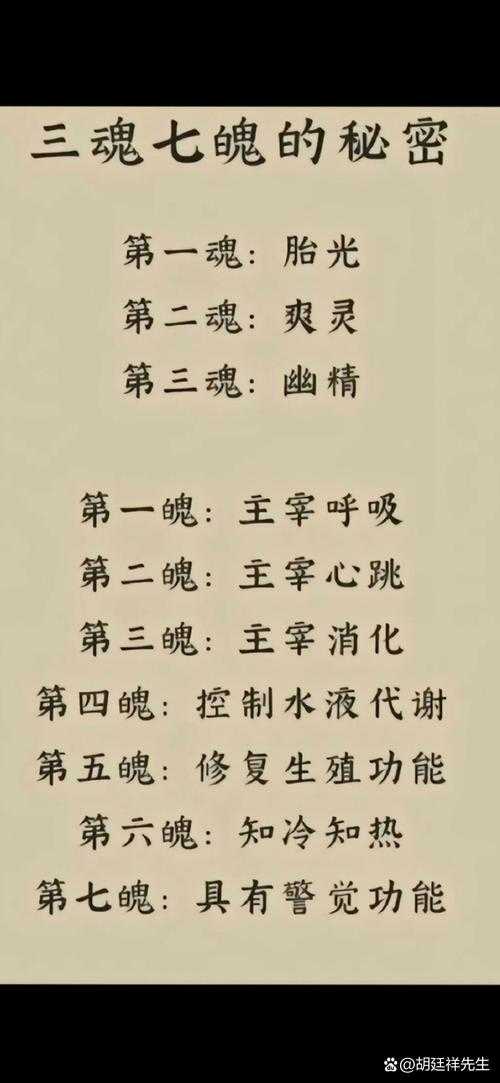 七魂六魄中天魂是什么?详解天魂的含义与作用