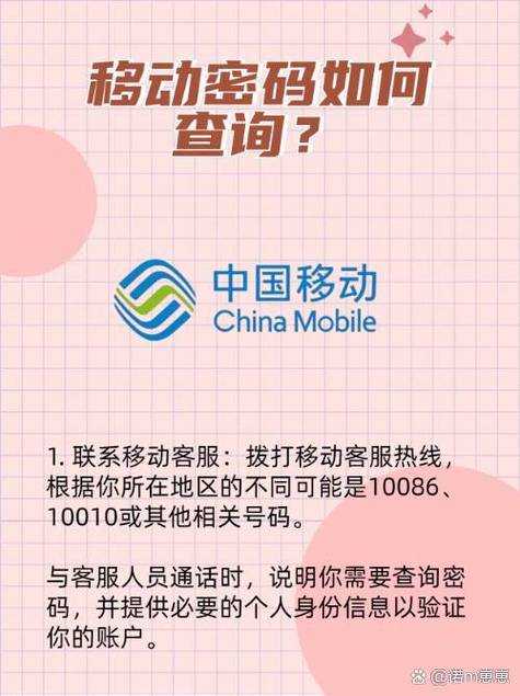 如何理解并有效利用10010电话服务?