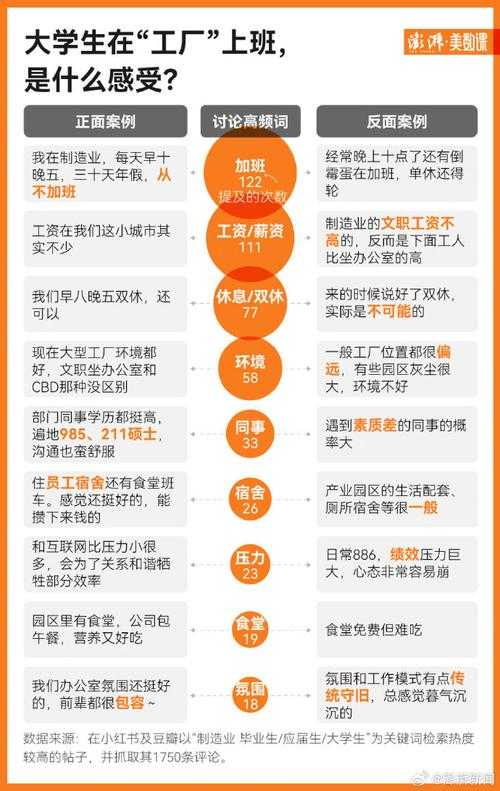 学校学生与工厂工人:教育与实践的职业发展对比