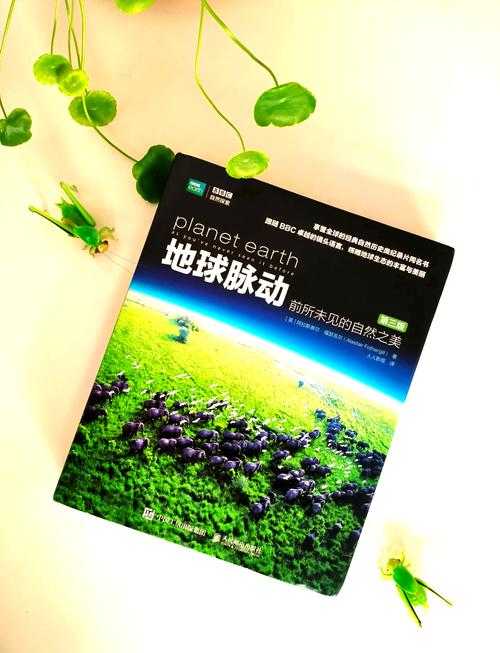 关于您提供的《地球脉动III》4K版片源与迅雷云播8K直播测试信息,以下为专业解读与建议: