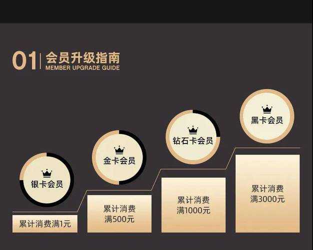 2025年CSOL会员开通指南:高效升级与权益对比