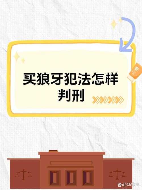刺杀狼牙策略如何制定?