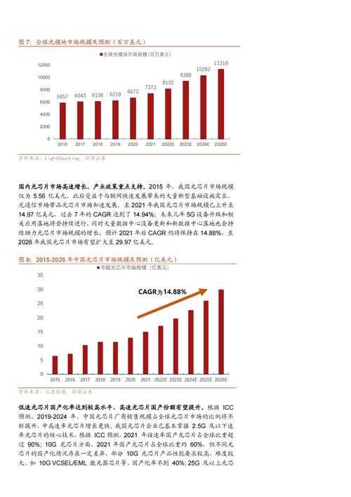 《葫芦娃视频app》2025年战略分析及竞争优劣势报告(精简版)