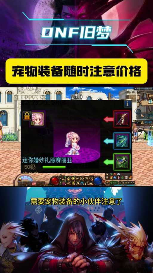 2025 DNF移动速度宠物全解析