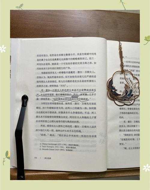 上流社会对决布鲁塔卢斯:精英圈层的隐秘较量与生存法则