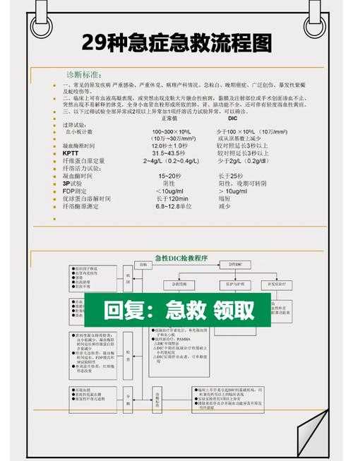 根据您提供的《战地医疗》2025年修订版急救流程图解内容，以下是关键急救流程的标准化总结（建议结合官方指南动态更新）：