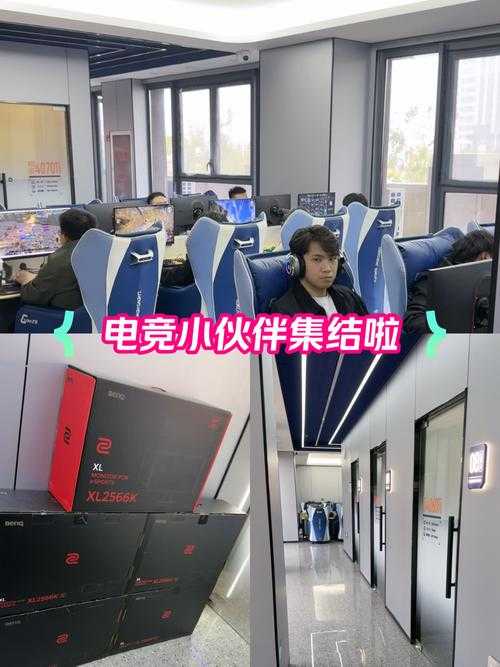 网鱼电竞罗湖赛精彩回顾:巅峰对决与荣耀时刻