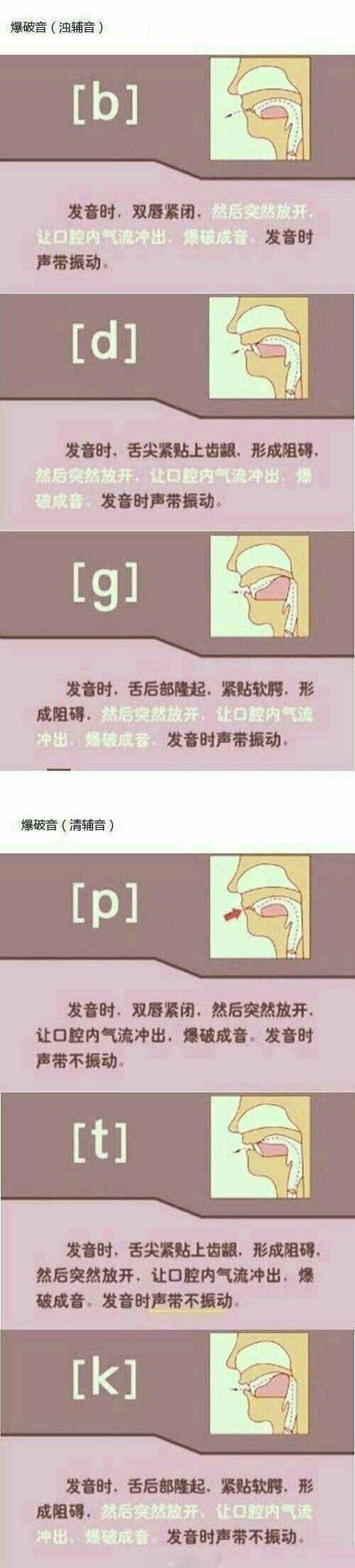 以下是对该英语发音学习报告的专业分析及优化建议: