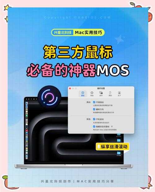 鼠标连接按钮设置详细图文指南