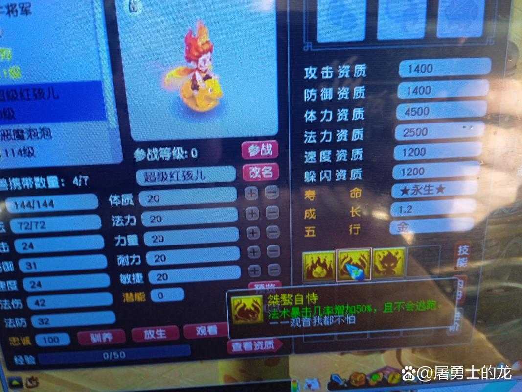 梦幻西游神兽丸子怎么获得