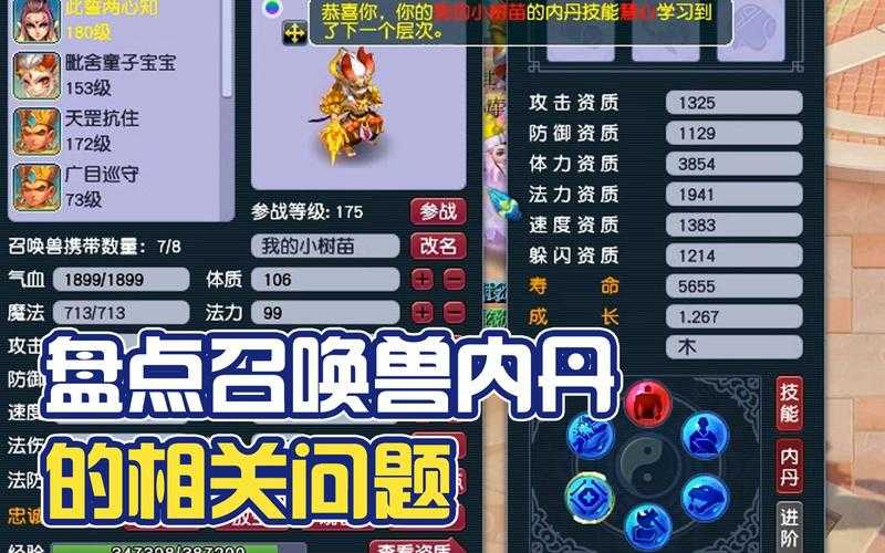 梦幻西游童子专属内丹有什么用