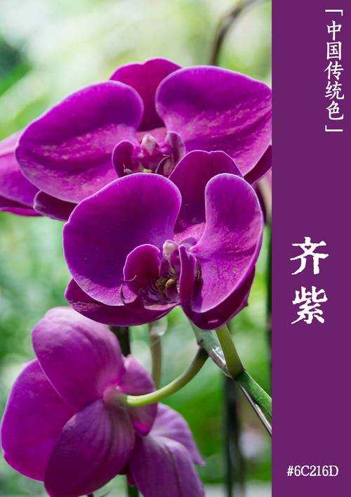 梦幻西游符石白黑绿紫区别 颜色 黑绿,紫色