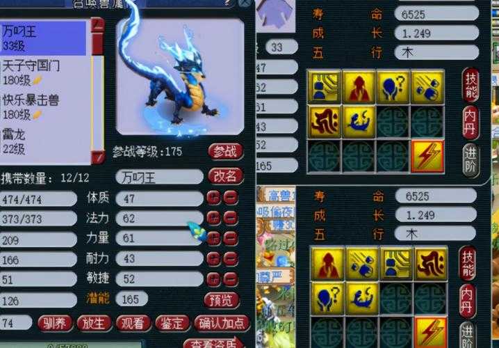 梦幻西游第一须弥雷龙 须弥 高级，雷龙