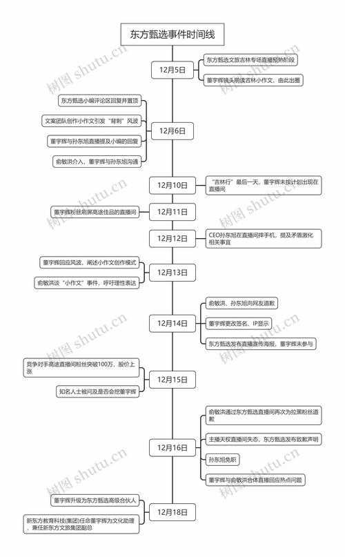 事件背景与时间线梳理，事件背景与时间线梳理，关键节点与因果关联