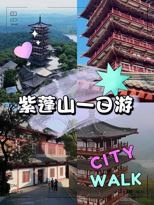 梦幻西游紫蓬山这区怎样