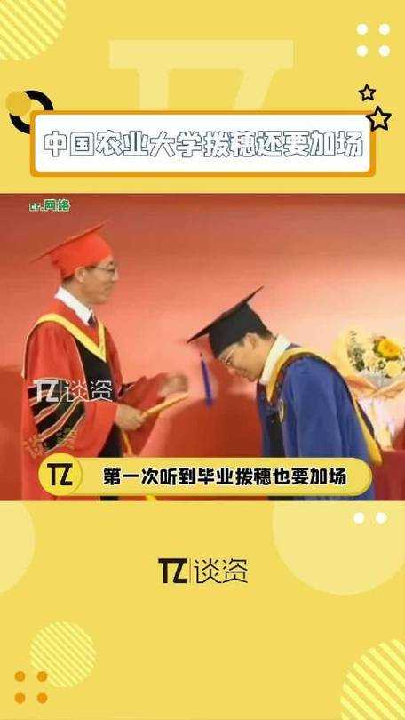 震撼教育史63岁中国农大校长全程站立拨穗14小时,一场颠覆认知的生命礼赞,六旬农大校长十四时辰站姿礼赞,以脊梁书写教育者的生命答卷