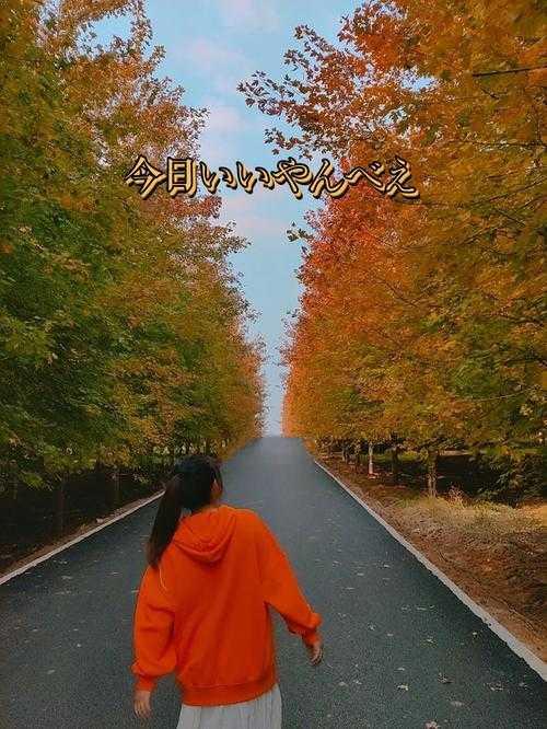 梦幻西游红枫林路线攻略