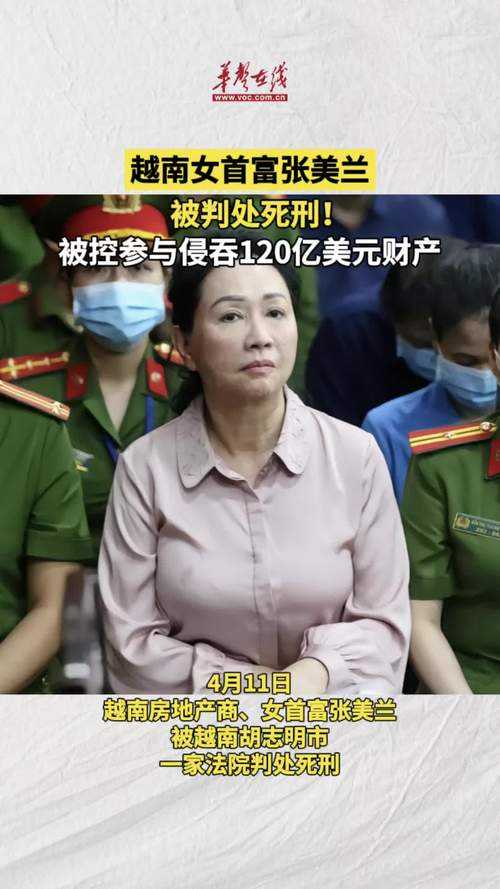 越南首富张美兰案进展,死刑判决改判可能性分析