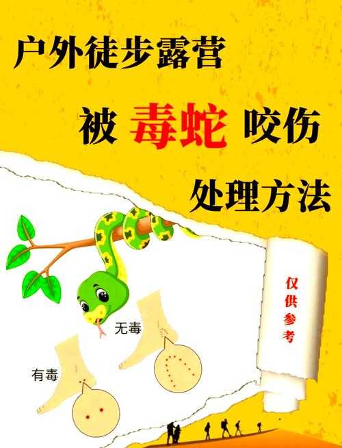蛇毒成分与中毒机制