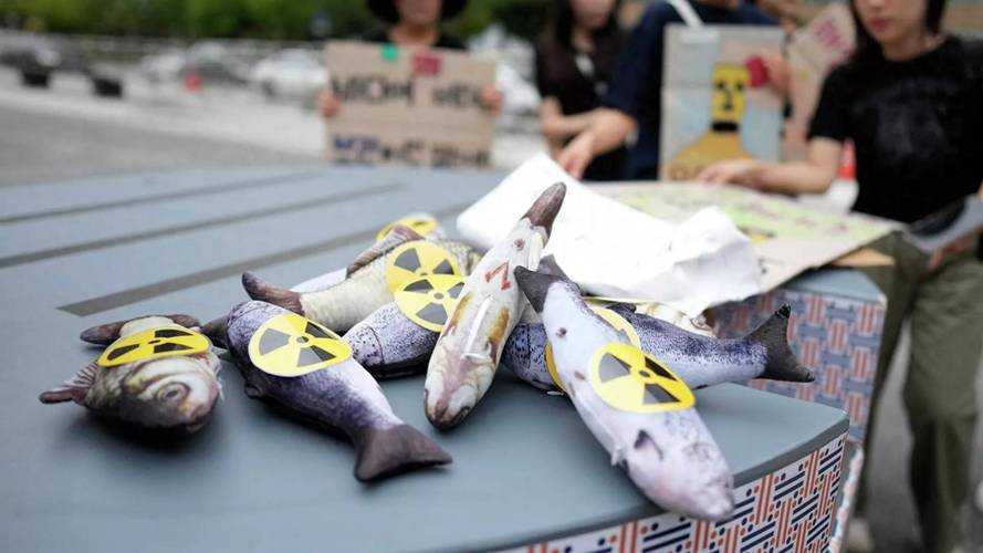中方恢复日本水产进口的背景与政策动因