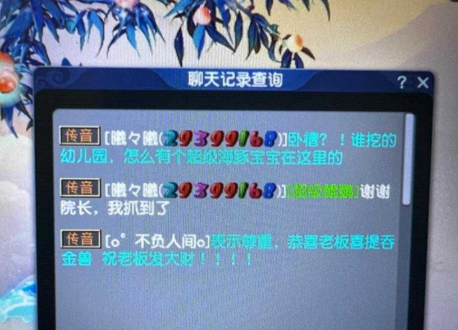 梦幻西游聊天记录查询模板
