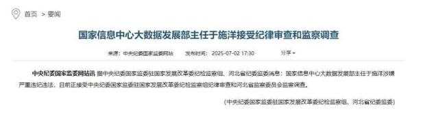 国家信息中心大数据发展部主任被查引广泛关注