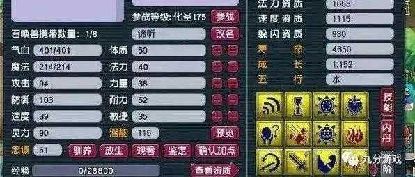 梦幻西游苦难辉煌亲妈怎么打 辉煌,亲妈 输出