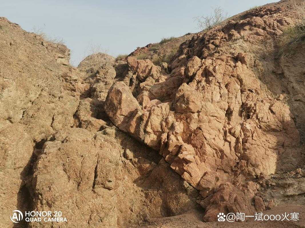梦幻西游荒山野岭阿盘怎么去