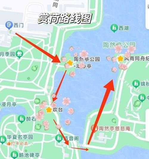 梦幻西游荷韵风景攻略图,地图,荷花,风景