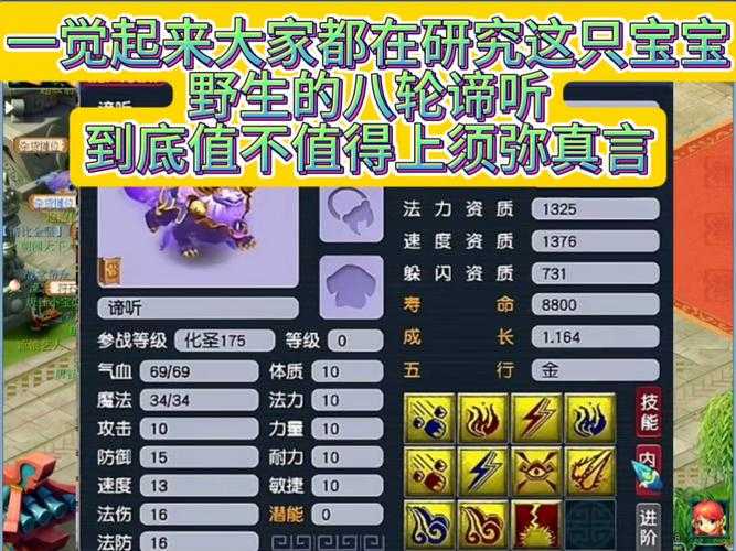 梦幻西游谛听搭配