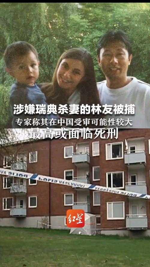 事件回顾，暴力引发严重后果的警示案例